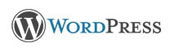 wordpress customization service